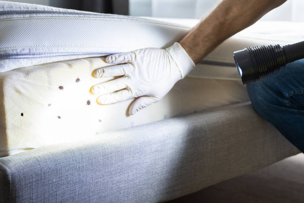 Best Best Pest Control Companies  in Union Springs, AL